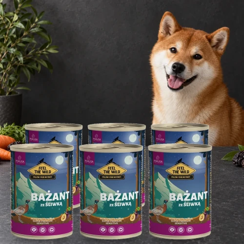 6x400g Bażant ze Śliwką Pokusa Feel The Wild monoproteinowa karma dla psa — z psem