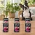 Zestaw 6 puszek karmy mokrej John Dog Kozina Pure Black po 400 g obok psa w domu