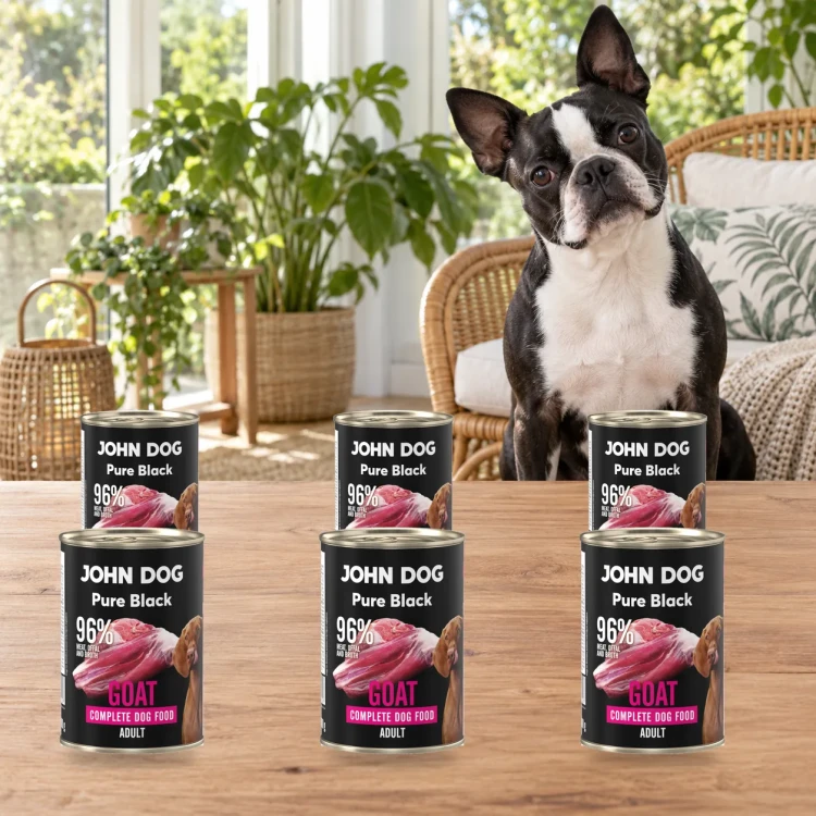 Zestaw 6 puszek karmy mokrej John Dog Kozina Pure Black po 400 g obok psa w domu