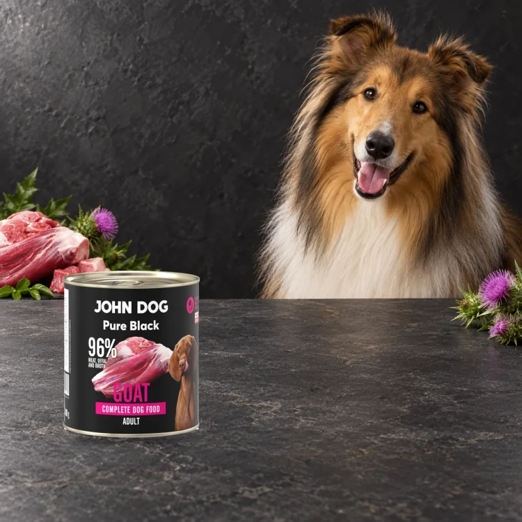 Puszka karmy mokrej John Dog Kozina Pure Black 800 g obok psa