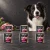 Zestaw 6 puszek karmy mokrej John Dog Kozina Pure Black po 800 g obok psa