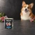 Puszka karmy mokrej John Dog Jagnięcina Pure Black 800 g obok psa