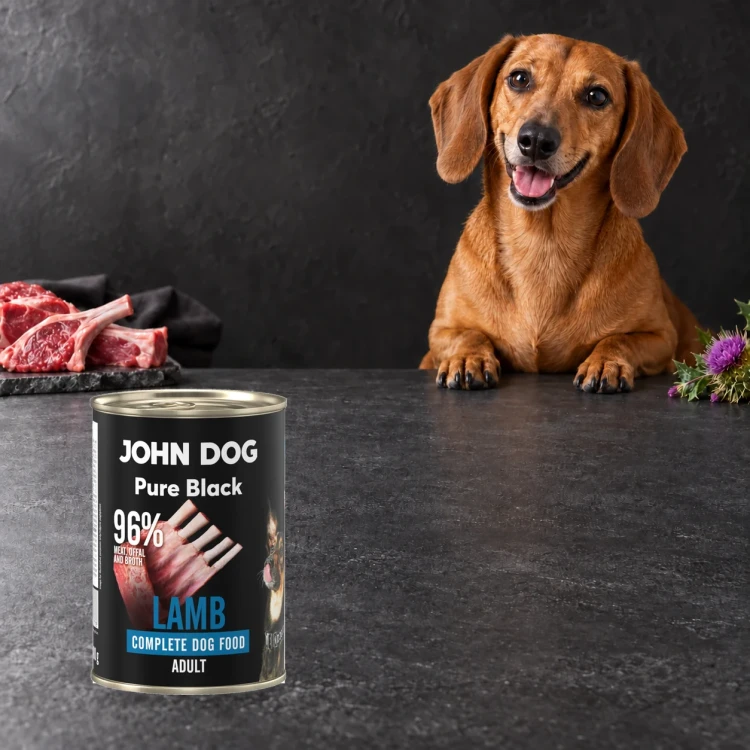 Puszka karmy mokrej John Dog Jagnięcina Pure Black 400 g obok psa