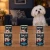 Zestaw 6 puszek karmy mokrej John Dog Jagnięcina Pure Black po 400 g obok psa w domu