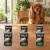 Zestaw 6 puszek karmy mokrej John Dog Kaczka Pure Black po 400 g obok psa w domu