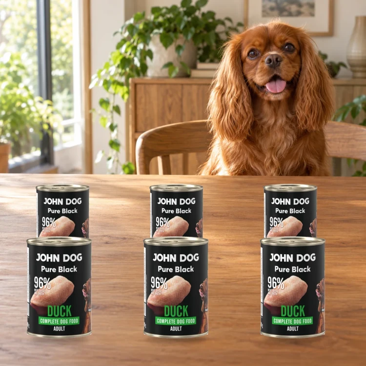 Zestaw 6 puszek karmy mokrej John Dog Kaczka Pure Black po 400 g obok psa w domu