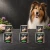 Zestaw 6 puszek karmy mokrej John Dog Kaczka Pure Black po 800 g obok psa