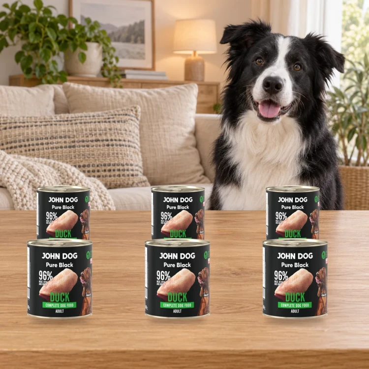 Zestaw 6 puszek karmy mokrej John Dog Kaczka Pure Black po 800 g obok psa w domu