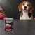 Puszka karmy mokrej John Dog Wołowina Pure Black 400 g obok psa