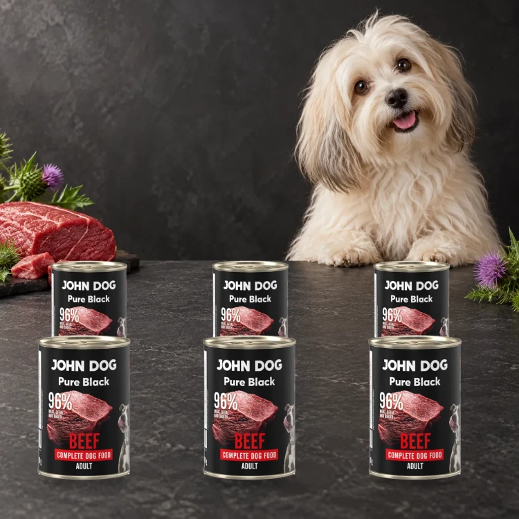 Zestaw 6 puszek karmy mokrej John Dog Wołowina Pure Black po 400 g obok psa