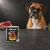 Puszka karmy mokrej John Dog Dzik Pure Black 800 g obok psa