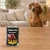 Puszka karmy mokrej John Dog Dzik Pure Black 400 g obok psa w domu