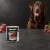 Puszka karmy mokrej John Dog Bażant Pure Black 800 g obok psa