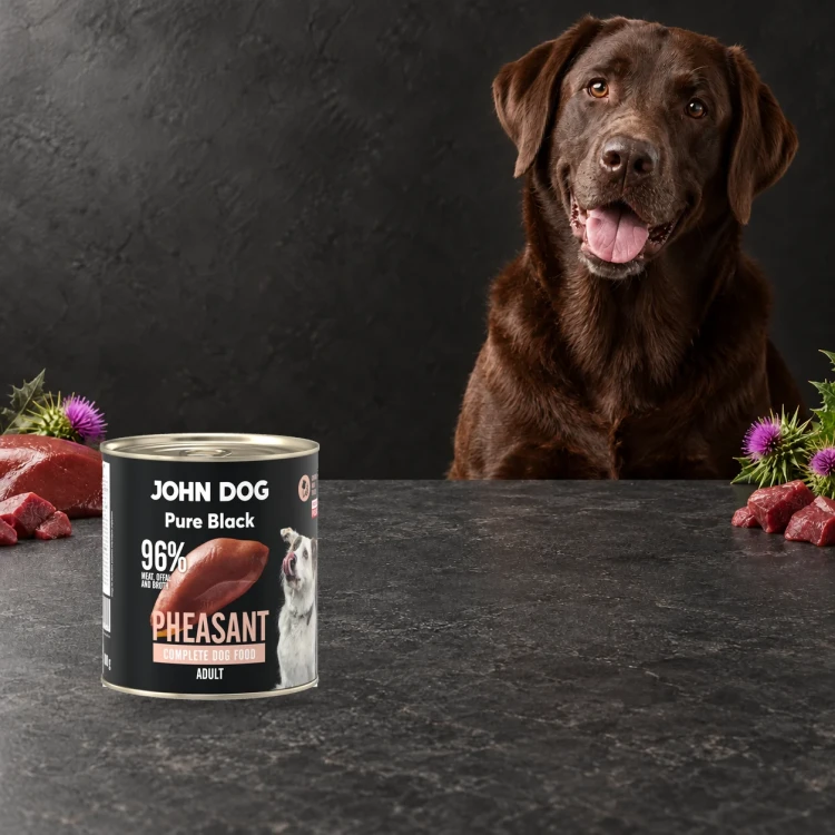 Puszka karmy mokrej John Dog Bażant Pure Black 800 g obok psa