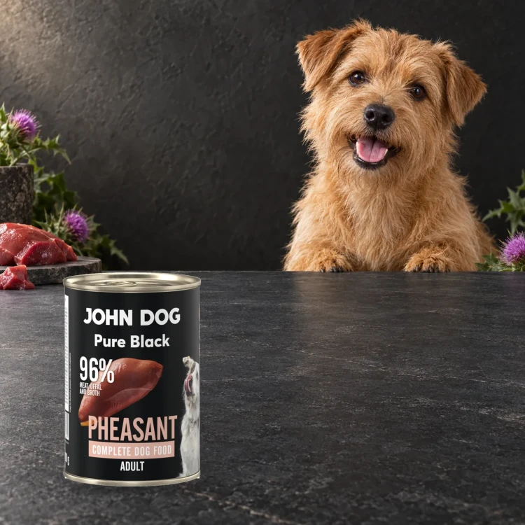 Puszka karmy mokrej John Dog Bażant Pure Black 400 g obok psa