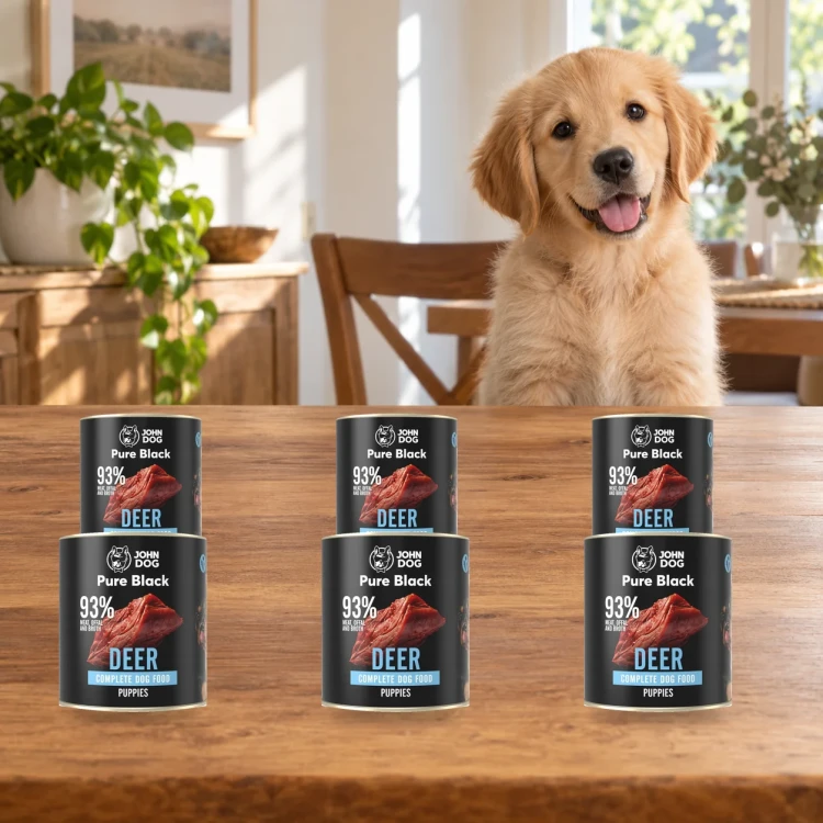 Zestaw 6 puszek karmy mokrej John Dog Jeleń Pure Black Junior po 800 g obok szczeniaka w domu