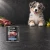 Puszka karmy mokrej John Dog Wołowina Pure Black Junior 800 g obok szczeniaka