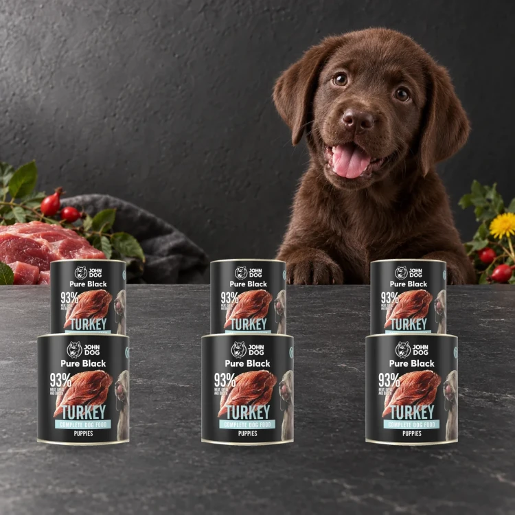 Zestaw 6 puszek karmy mokrej John Dog Indyk Pure Black Junior po 800 g obok szczeniaka