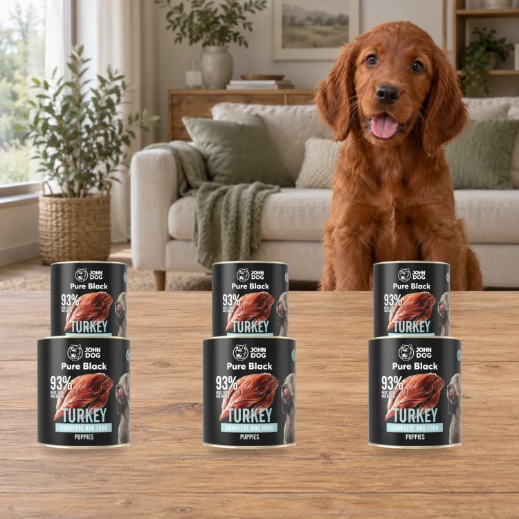 Zestaw 6 puszek karmy mokrej John Dog Indyk Pure Black Junior po 800 g obok szczeniaka w domu