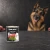 Puszka karmy mokrej John Dog Konina Special Edition 800 g obok psa