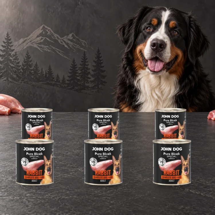 Zestaw 6 puszek karmy mokrej John Dog Królik Special Edition po 800 g obok psa