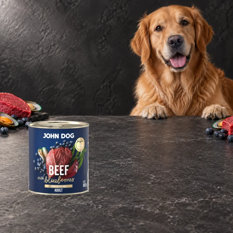 Puszka karmy mokrej John Dog Wołowina z borówkami Berry Line 800 g obok psa