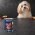 Puszka karmy mokrej John Dog Cielęcina z żurawiną Berry Line 400 g obok psa