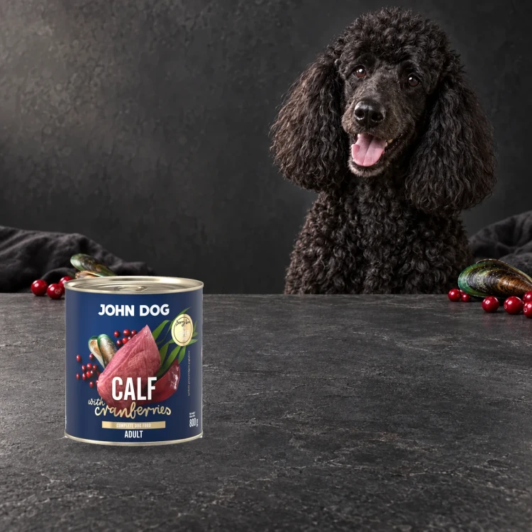 Puszka karmy mokrej John Dog Cielęcina z żurawiną Berry Line 800 g obok psa