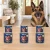 Zestaw 6 puszek karmy mokrej John Dog Cielęcina z żurawiną Berry Line po 800 g obok psa w domu