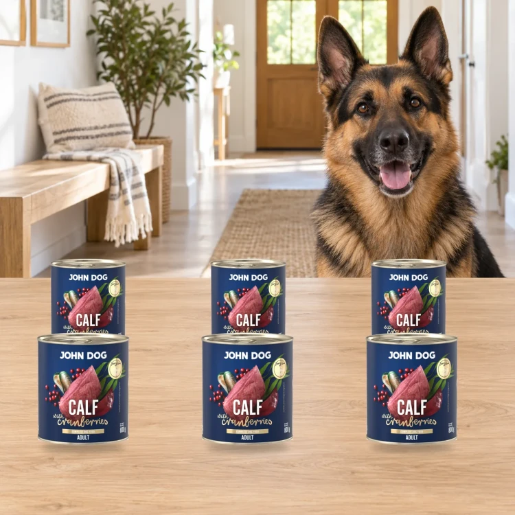 Zestaw 6 puszek karmy mokrej John Dog Cielęcina z żurawiną Berry Line po 800 g obok psa w domu
