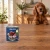 Puszka karmy mokrej John Dog Dzik z cielęciną i jagodami Junior Berry Line 800 g obok szczeniaka w domu