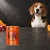 Puszka karmy mokrej John Dog Wołowina z dynią Pumpkin Line 400 g obok psa
