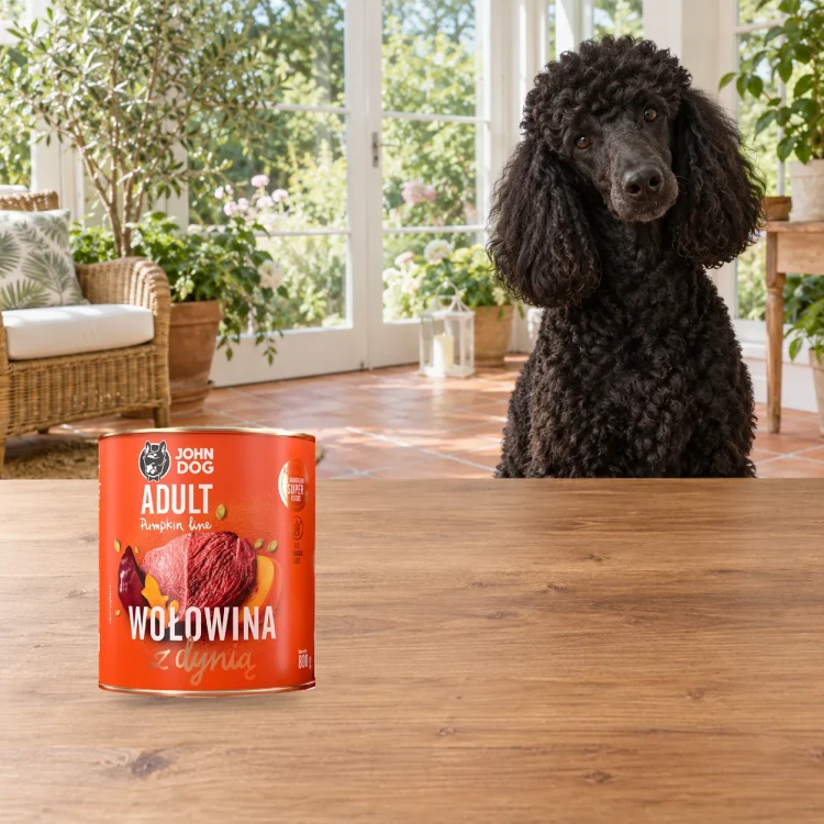 Puszka karmy mokrej John Dog Wołowina z dynią Pumpkin Line 800 g obok psa w domu