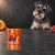 Puszka karmy mokrej John Dog Dzik z dynią Pumpkin Line 400 g obok psa