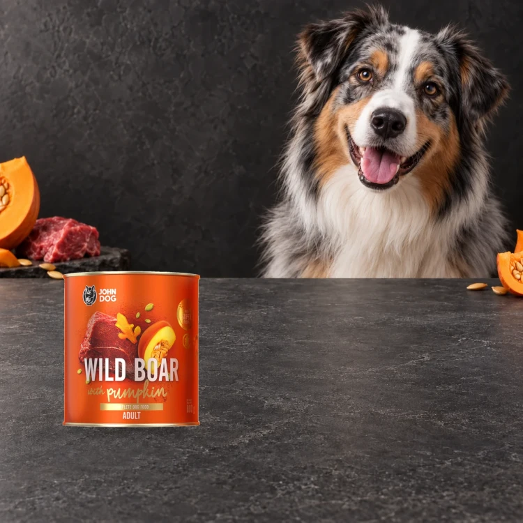 Puszka karmy mokrej John Dog Dzik z dynią Pumpkin Line 800 g obok psa