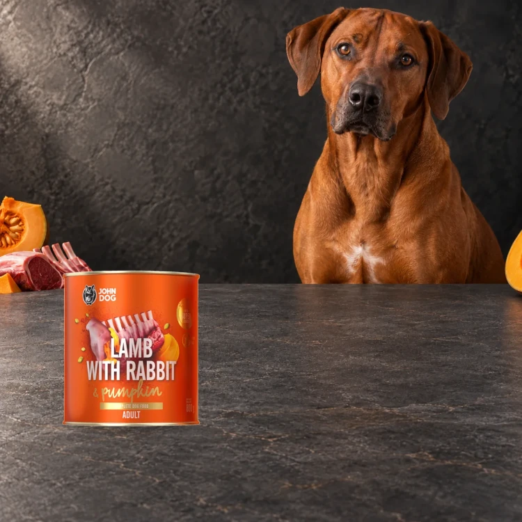 Puszka karmy mokrej John Dog Jagnięcina z królikiem i dynią Pumpkin Line 800 g obok psa