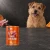 Puszka karmy mokrej John Dog Jagnięcina z królikiem i dynią Pumpkin Line 400 g obok psa
