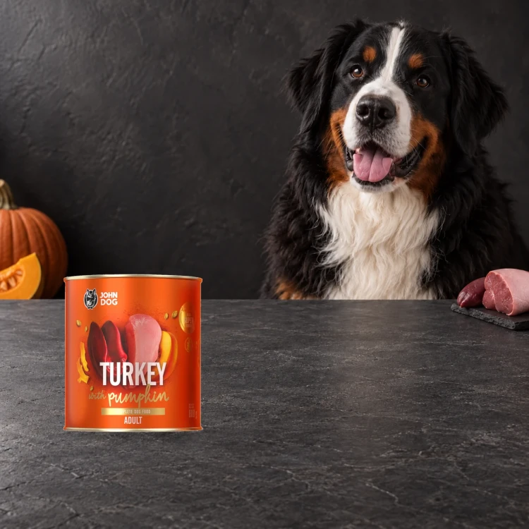 Puszka karmy mokrej John Dog Indyk z dynią Pumpkin Line 800 g obok psa