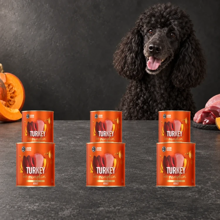 Zestaw 6 puszek karmy mokrej John Dog Indyk z dynią Pumpkin Line po 800 g obok psa