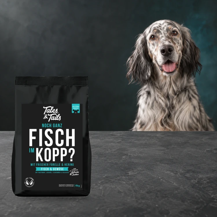 Karma półwilgotna Tales & Tails 4 kg z rybami dla dorosłych psów obok psa.