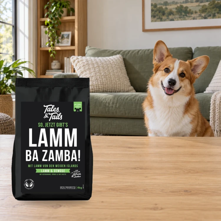 Karma półwilgotna Tales & Tails 4 kg z jagnięciną dla dorosłych psów obok psa w domu.