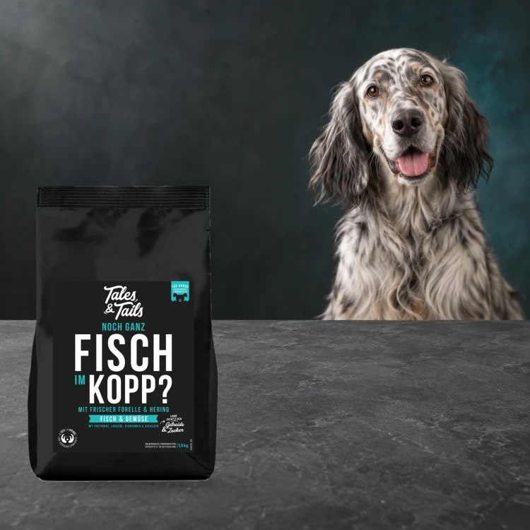 Karma półwilgotna Tales & Tails 1,5 kg z rybami dla dorosłych psów obok psa.