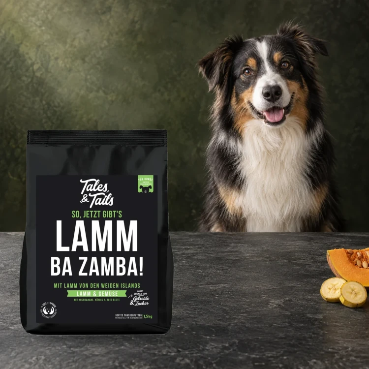 Karma półwilgotna Tales & Tails 1,5 kg z jagnięciną dla dorosłych psów obok psa.