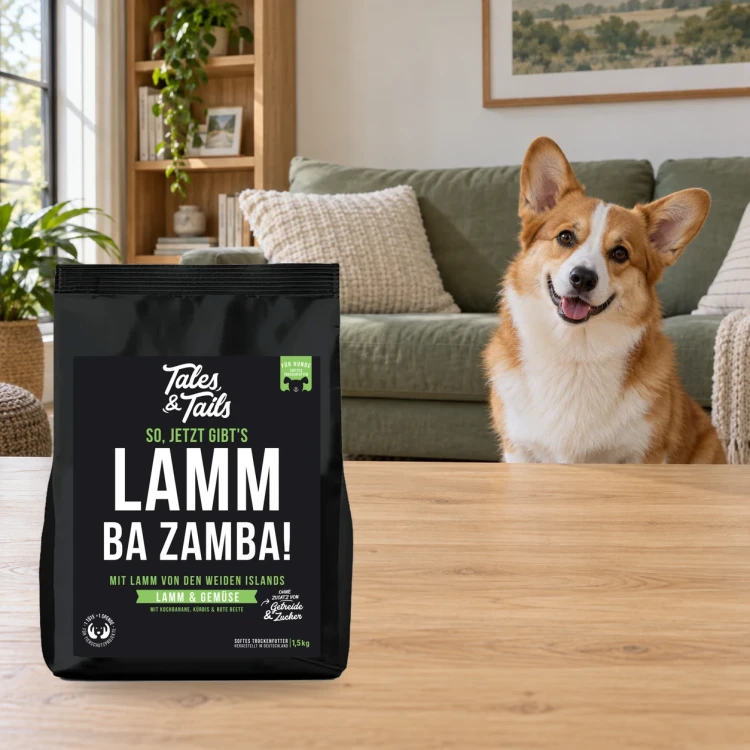 Karma półwilgotna Tales & Tails 1,5 kg z jagnięciną dla dorosłych psów obok psa w domu.