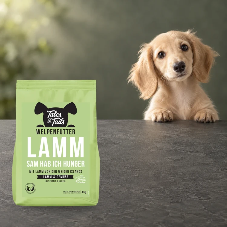 Karma półwilgotna Tales & Tails 4 kg z jagnięciną dla szczeniąt obok szczenięcia.