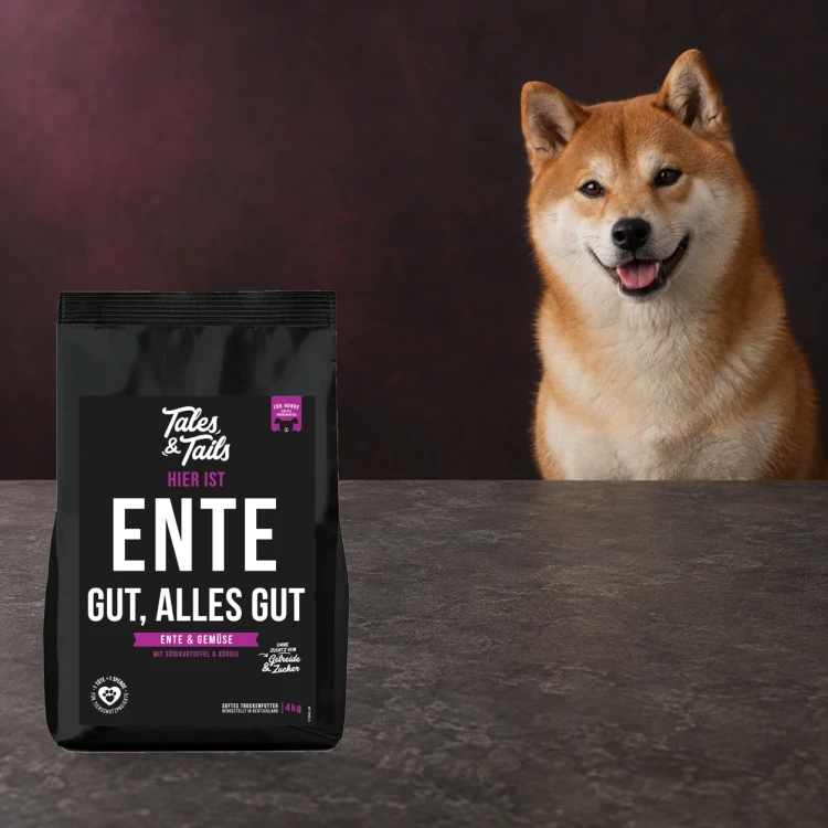 Karma półwilgotna Tales & Tails 4 kg z kaczką dla dorosłych psów obok psa.