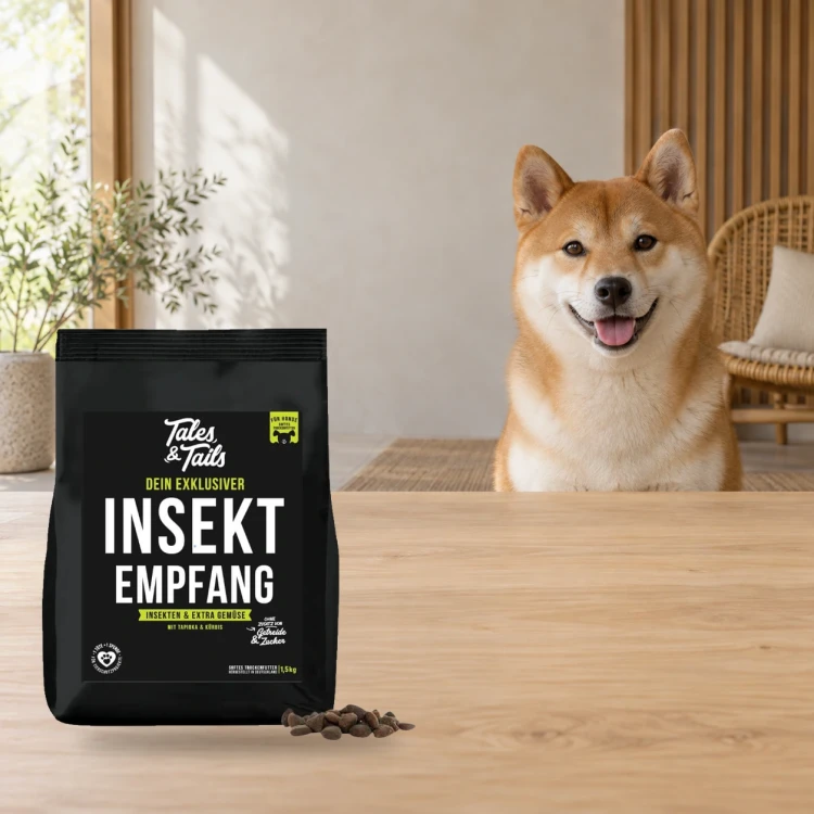 Karma półwilgotna Tales & Tails 1,5 kg z białkiem owadów dla dorosłych psów obok psa w domu.