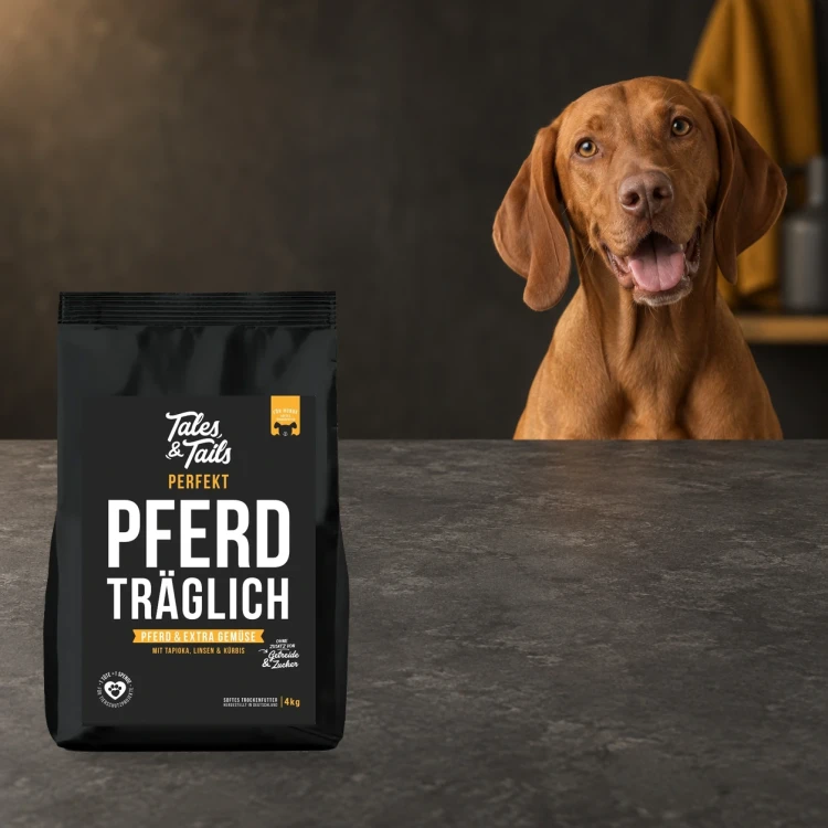 Karma półwilgotna Tales & Tails 4 kg z koniną dla dorosłych psów obok psa.