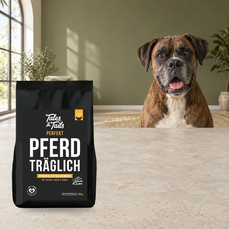 Karma półwilgotna Tales & Tails 4 kg z koniną dla dorosłych psów obok psa w domu.