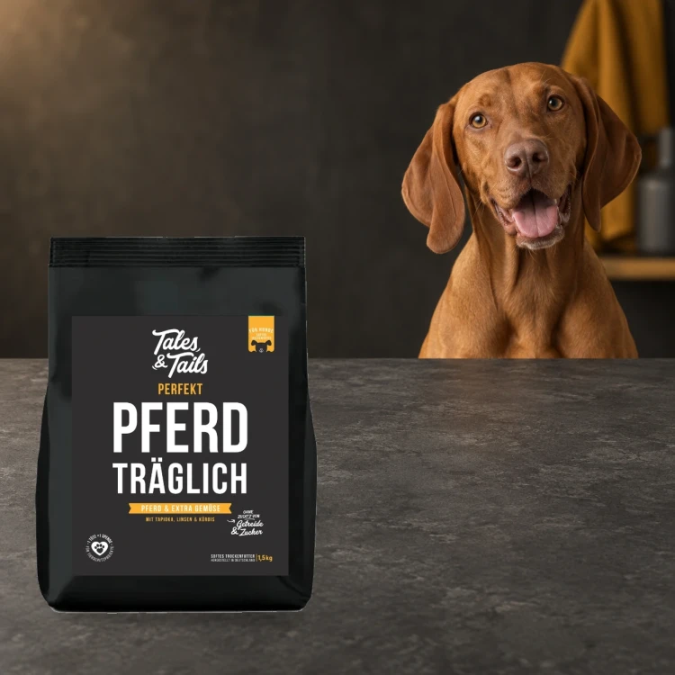 Karma półwilgotna Tales & Tails 1,5 kg z koniną dla dorosłych psów obok psa.